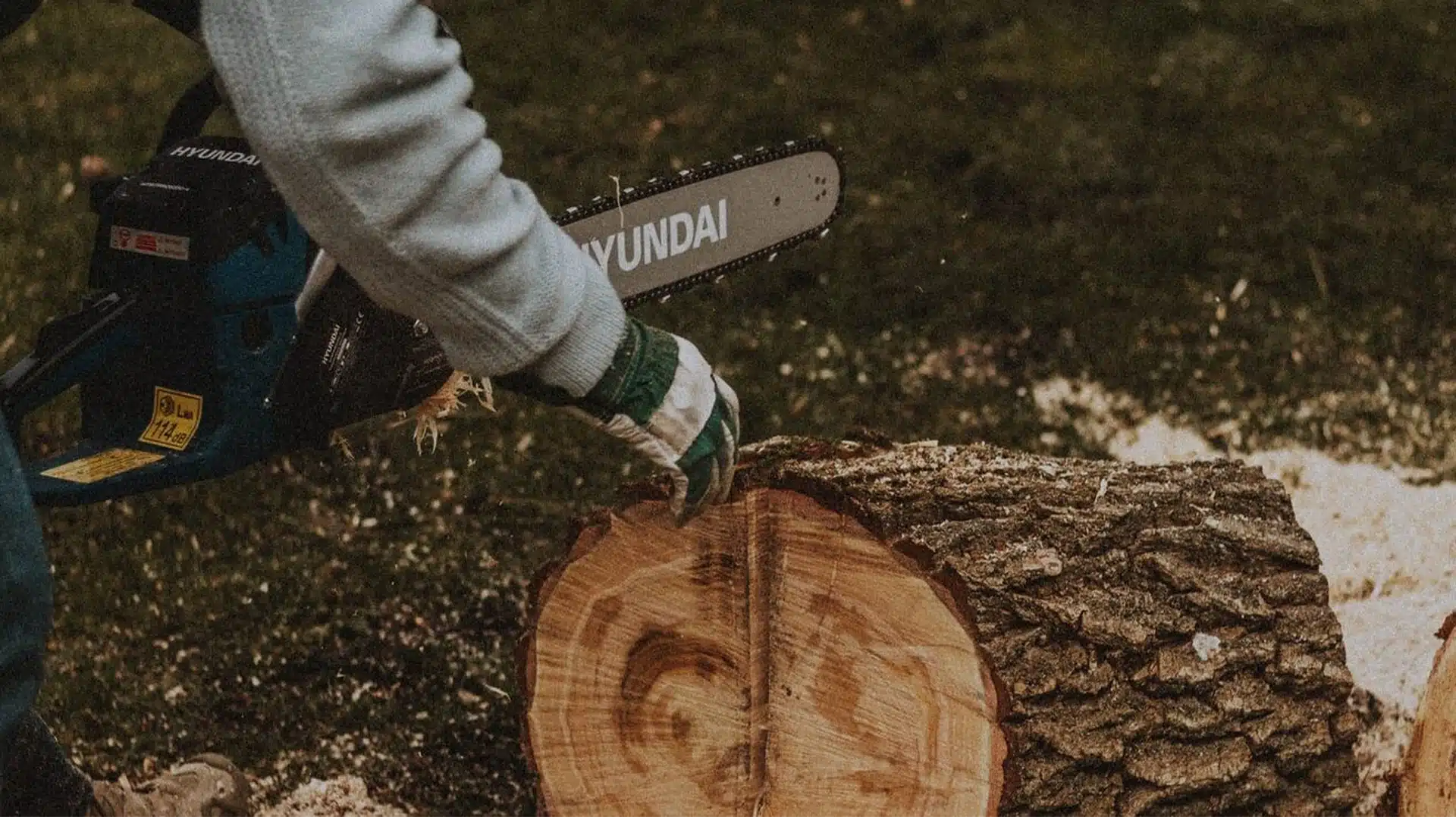 Comment savoir si le bois est bien sec ? Eco Bois Alsace — free download