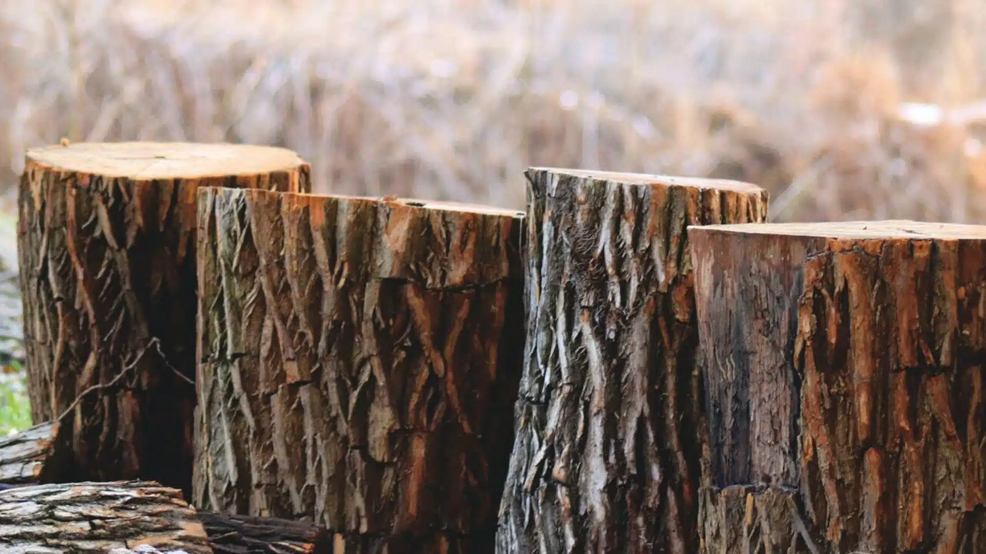 Comment mesurer le taux d’humidité du bois de chauffage ? Eco Bois Alsace